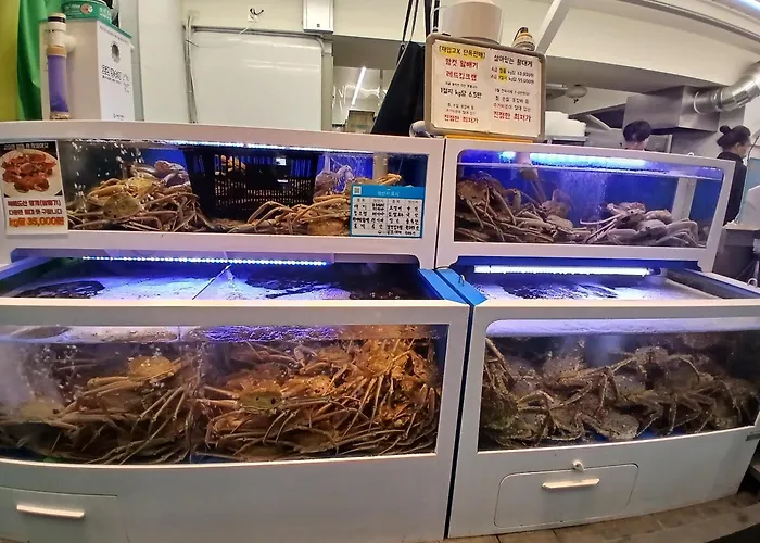 Hongdae Stay, Mangwon&hapjeong ,15 Minutes To Itaewon,yongsan,명동20분 아파트 서울특별시