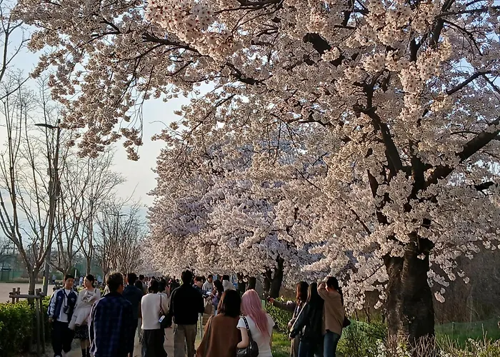 아파트 Hongdae Stay, Mangwon&hapjeong ,15 Minutes To Itaewon,yongsan,명동20분 *