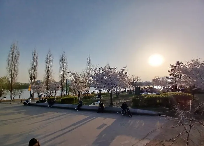 Hongdae Stay, Mangwon&hapjeong ,15 Minutes To Itaewon,yongsan,명동20분 *